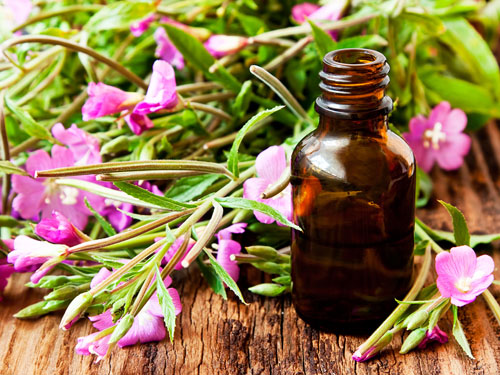 ofertas dietética condal