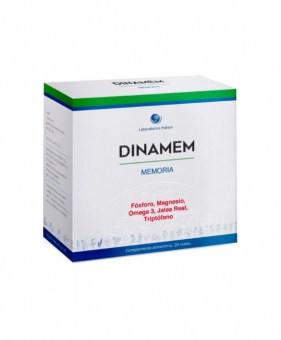 DINAMEM